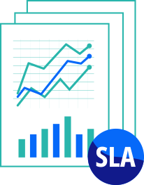 SERVICE LEVEL AGREEMENTS